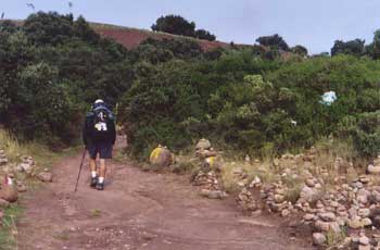 Roldan's Podium