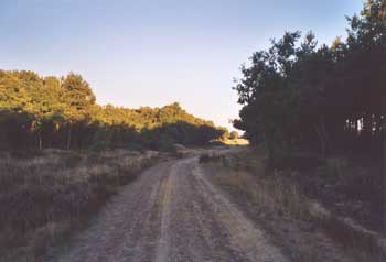 Early morning outside Villafranca