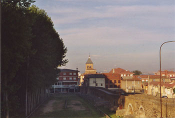 Famous Bridge into Hospital de Orbigo