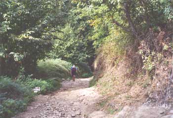 Long uphill to La Faba