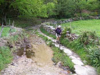 Muddy Camino