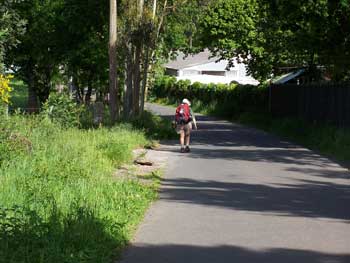 Along the Camino