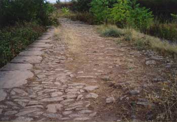 Roman Paving