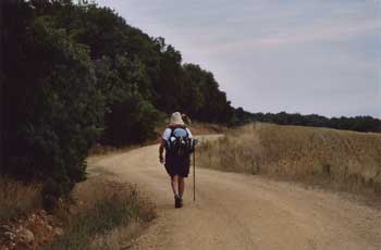 Camino before Luquin