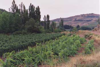 Along the Camino