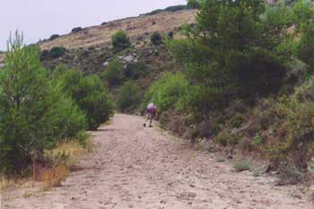 Long Muddy Uphill