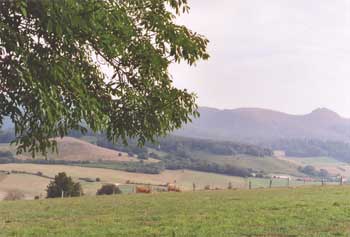 French Countryside